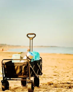 New Dunnes Stores Camping Cart