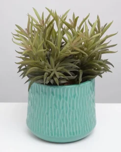 Clearance Dunnes Stores Carolyn Donnelly Eclectic Plant In Patterned Pot