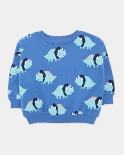 Online Dunnes Stores Crew Neck Sweatshirt (6 Months-5 Years)