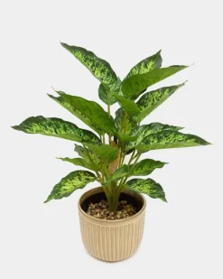 Sale Dunnes Stores Fashion Planter Pot