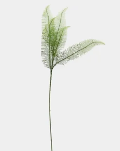 Discount Dunnes Stores Fern Stem