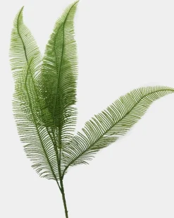 Discount Dunnes Stores Fern Stem