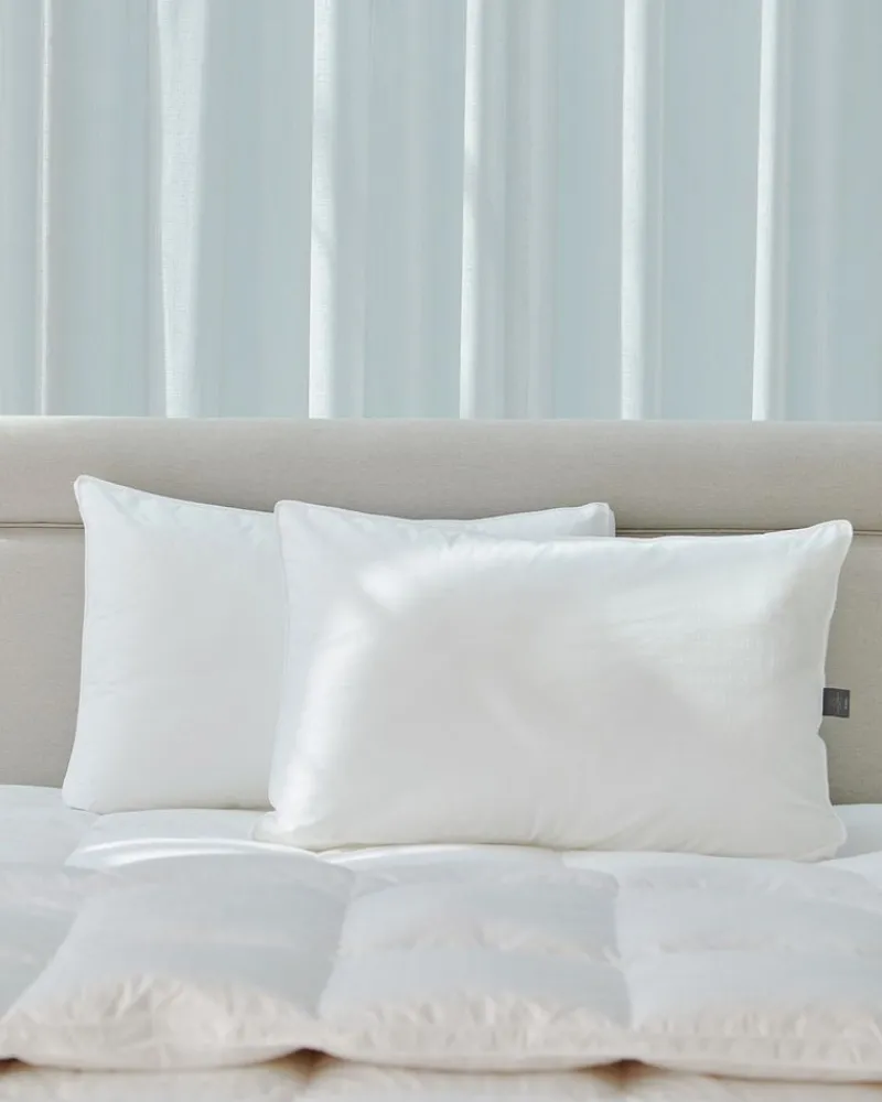 Hot Dunnes Stores Francis Brennan the Collection Luxury Pillow