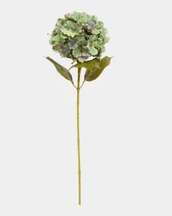 Online Dunnes Stores Green Hydrangea