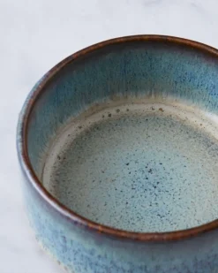 Clearance Dunnes Stores Helen James Considered Evissa Dip Bowl