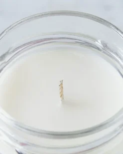 Outlet Dunnes Stores Helen James Considered Wild Rhubarb Candle