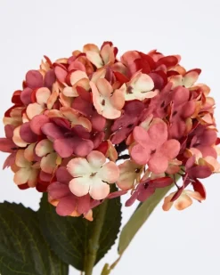 Outlet Dunnes Stores Hydrangea Stem