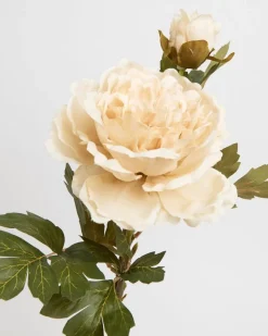 Discount Dunnes Stores Multi Peony Stem