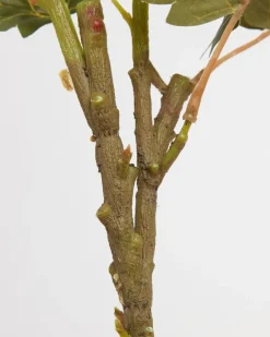 Discount Dunnes Stores Multi Peony Stem