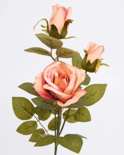 Clearance Dunnes Stores Multi Rose Stem