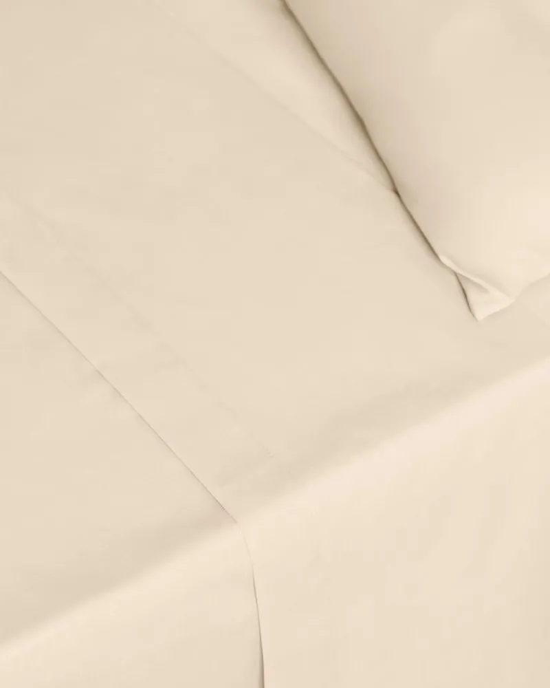 Best Dunnes Stores Non Iron Percale Flat Sheet 180 Thread Count - Single