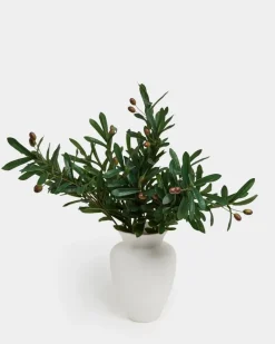 Online Dunnes Stores Olive Spray