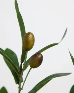 Online Dunnes Stores Olive Spray