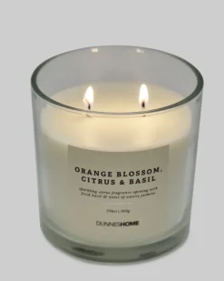 Best Dunnes Stores Orange Blossom, Citrus And Basil Two-Wick Scented Candle