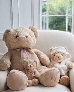 New Dunnes Stores Paul Costelloe Living Baby Bear With Bow