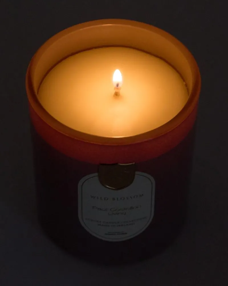 Outlet Dunnes Stores Paul Costelloe Living Costelloe Candle