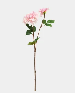 Clearance Dunnes Stores Paul Costelloe Living Dahlia Stem
