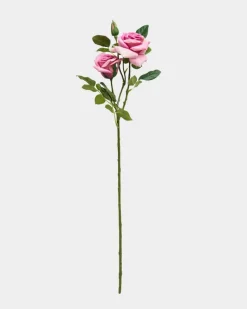 Discount Dunnes Stores Paul Costelloe Living Duo Rose Stem