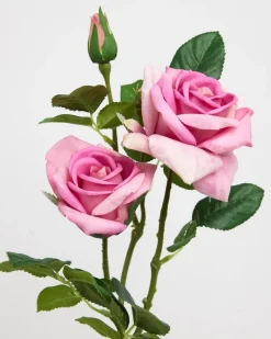Discount Dunnes Stores Paul Costelloe Living Duo Rose Stem