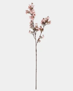 Clearance Dunnes Stores Paul Costelloe Living Helianthus Stem