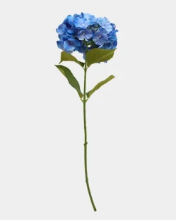 Sale Dunnes Stores Paul Costelloe Living Large Hydrangea Stem