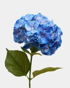 Sale Dunnes Stores Paul Costelloe Living Large Hydrangea Stem