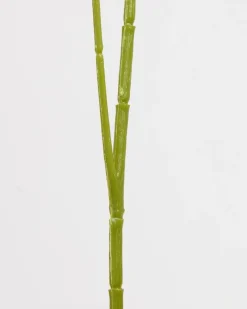 Fashion Dunnes Stores Paul Costelloe Living Pea Blossom Stem