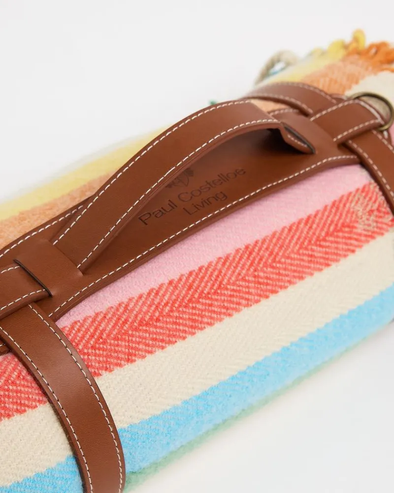 Hot Dunnes Stores Paul Costelloe Living Picnic Blanket
