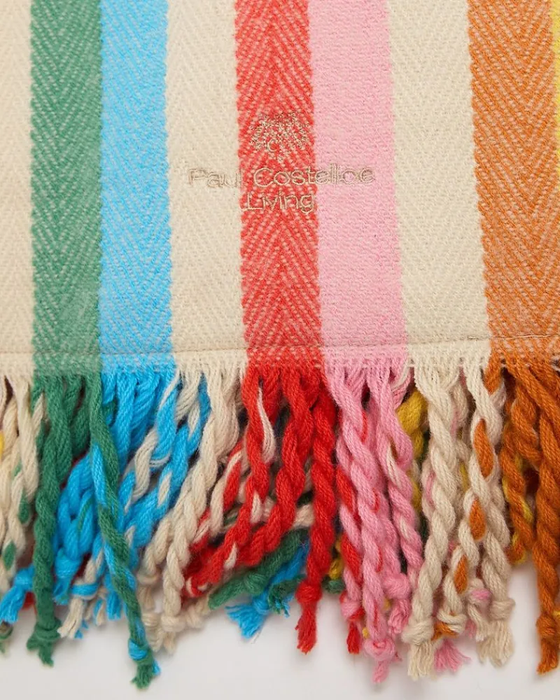 Hot Dunnes Stores Paul Costelloe Living Picnic Blanket