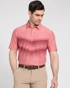 New Dunnes Stores Pádraig Harrington Chest Print Polo Shirt