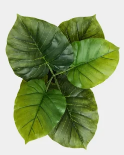 Fashion Dunnes Stores Potted Foliage