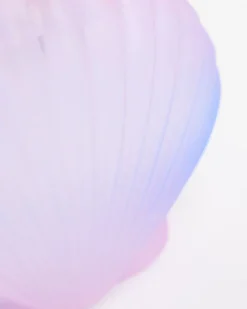 Clearance Dunnes Stores Seashell Soap