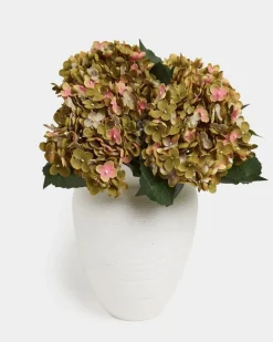 Discount Dunnes Stores Single Hydrangea