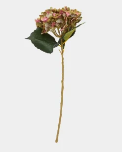 Discount Dunnes Stores Single Hydrangea