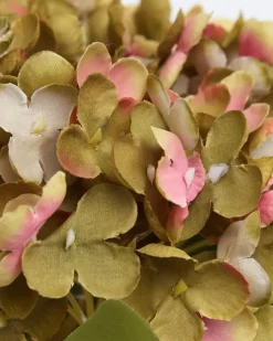 Discount Dunnes Stores Single Hydrangea