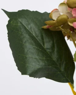 Discount Dunnes Stores Single Hydrangea