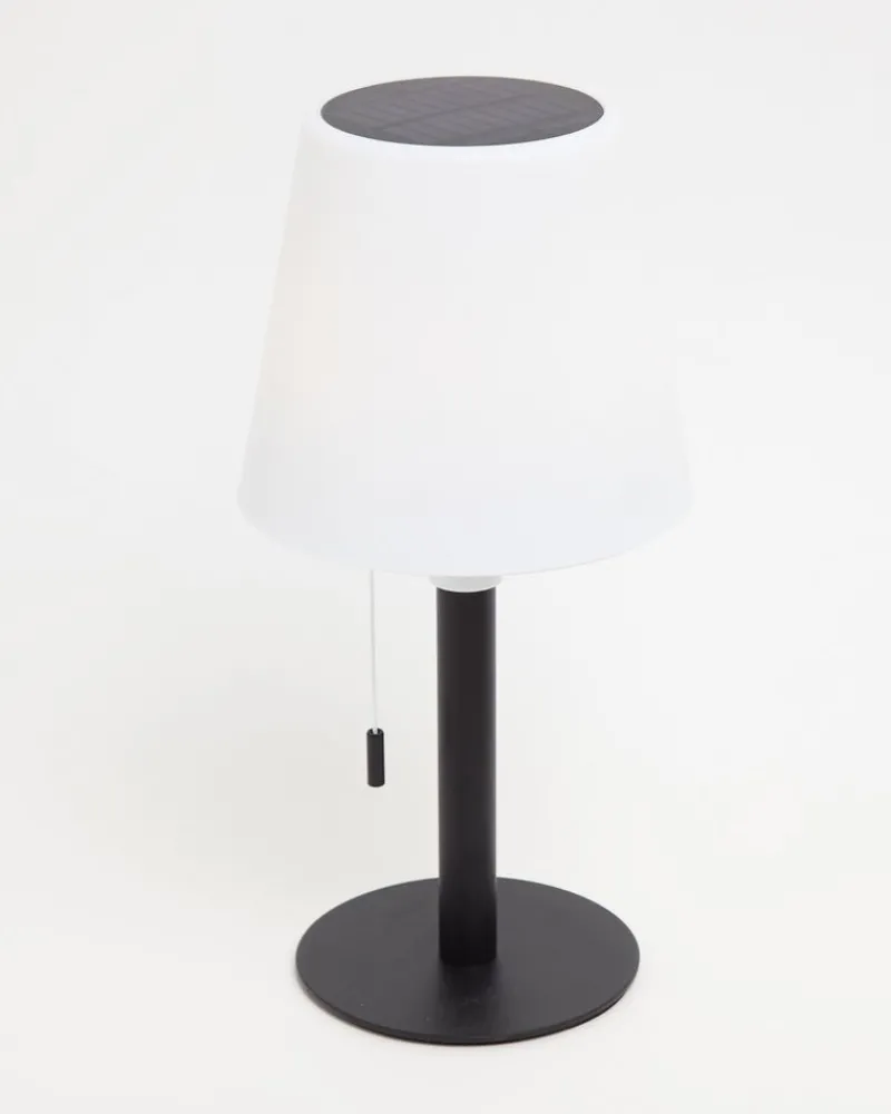 Clearance Dunnes Stores Solar LED Table Lamp