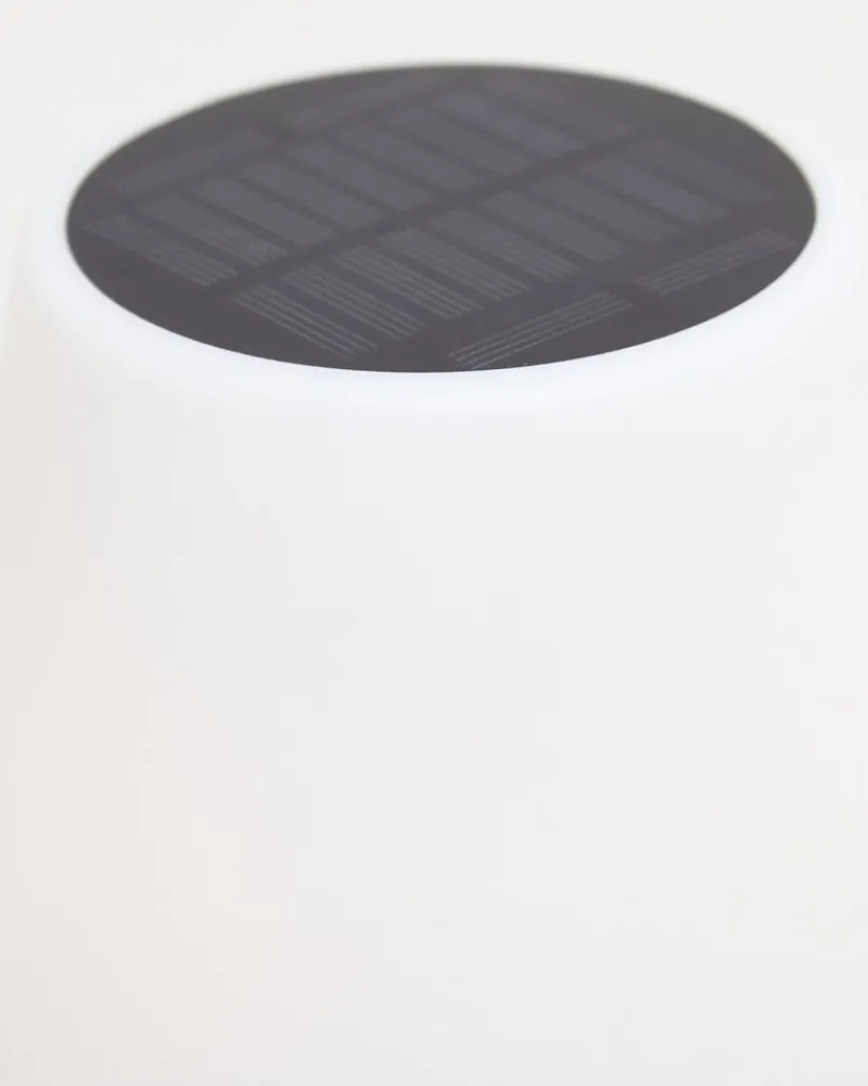 Clearance Dunnes Stores Solar LED Table Lamp