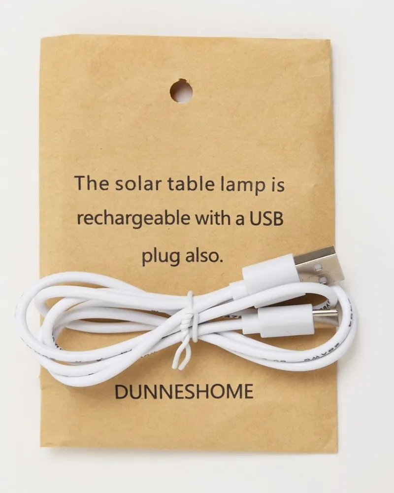 Clearance Dunnes Stores Solar LED Table Lamp