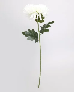 Outlet Dunnes Stores Spider Mum Stem
