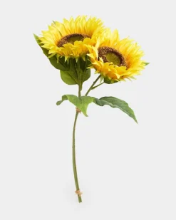 Online Dunnes Stores Sunflowers - Pack Of 2