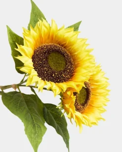 Online Dunnes Stores Sunflowers - Pack Of 2