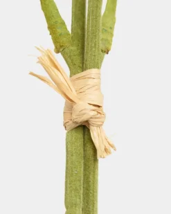 Online Dunnes Stores Sunflowers - Pack Of 2
