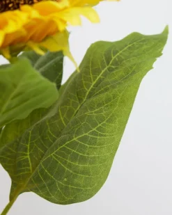 Online Dunnes Stores Sunflowers - Pack Of 2