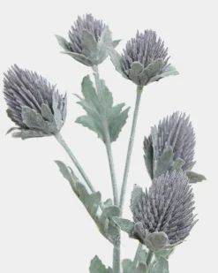 Online Dunnes Stores Thistle Spray