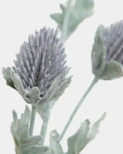 Online Dunnes Stores Thistle Spray